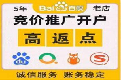 百度广告推广案例：数据分析与优化